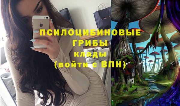 хмурый Надым
