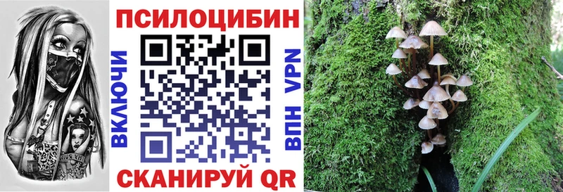 Псилоцибиновые грибы Cubensis  Спасск-Рязанский 